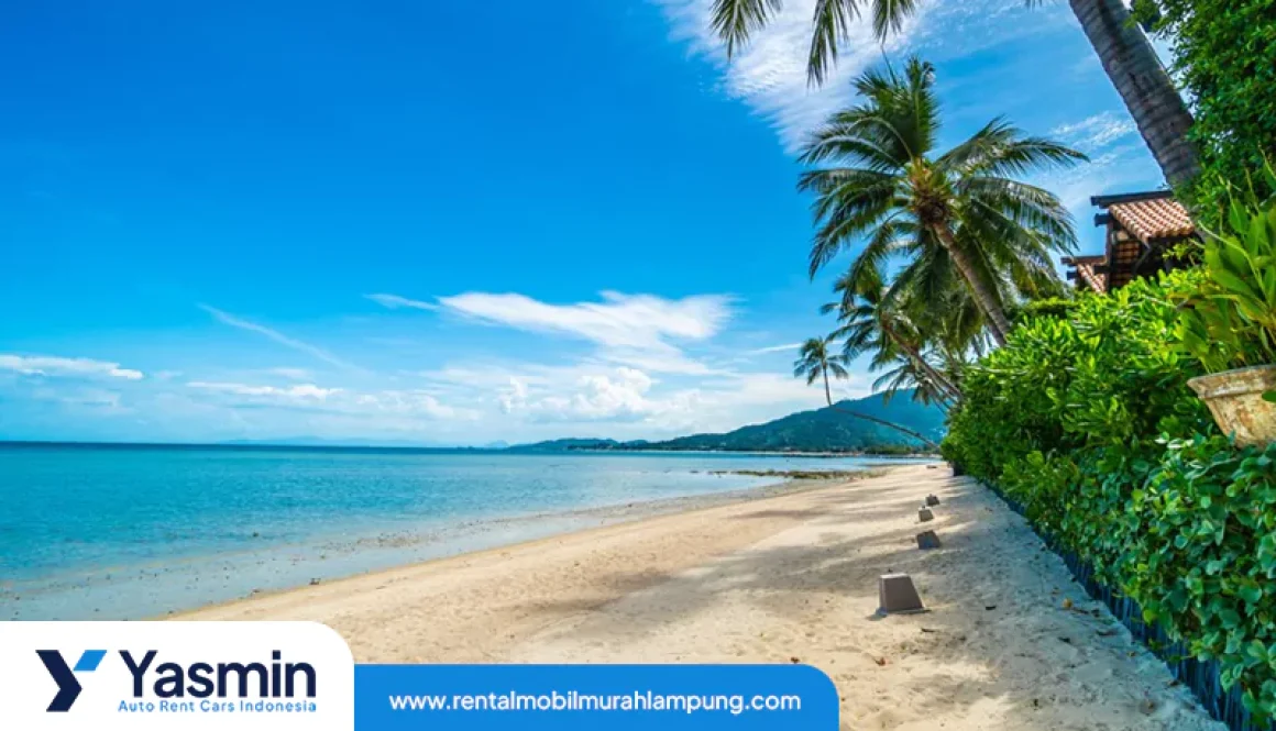 tips-menjelajahi-surga-tersembunyi-di-ujung-selatan-sumatera-675fadc24d06e