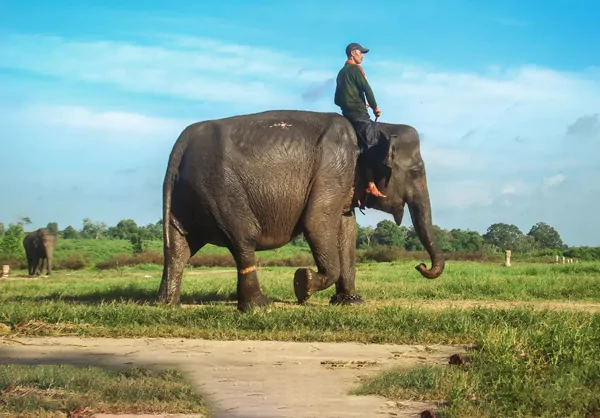 wisata-way-kambas-675d89752eb65